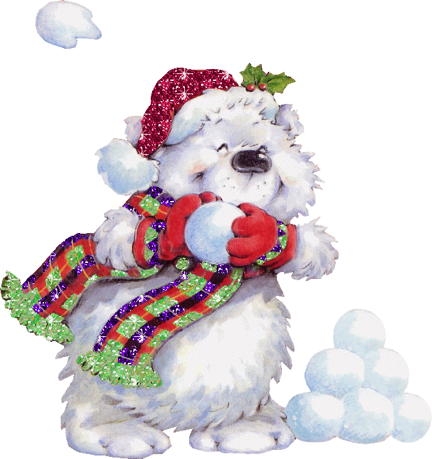 misio bialy20snow20bear1